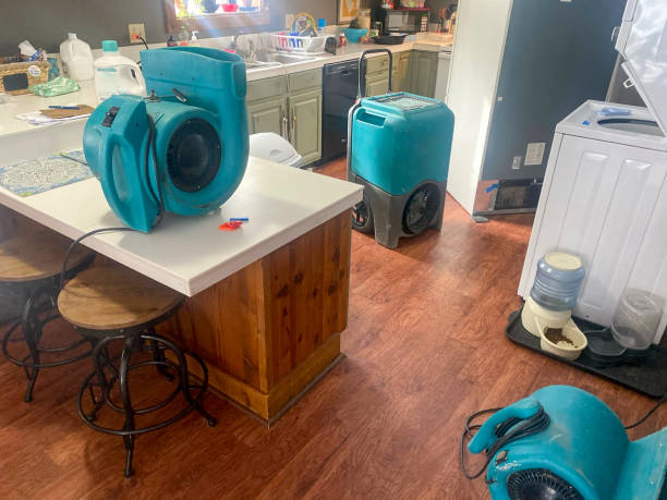 Best Ceiling water damage repair  in Red Rock, AZ