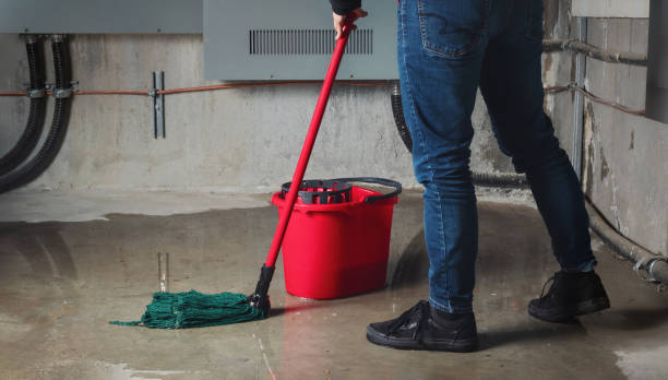 Best Commercial water damage restoration  in Red Rock, AZ