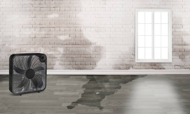 Best Commercial water damage restoration  in Red Rock, AZ