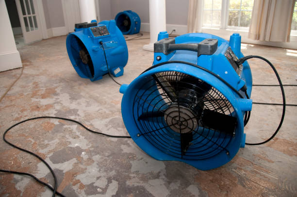 Best Local water damage restoration  in Red Rock, AZ