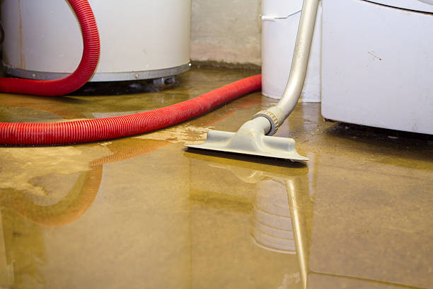 Best Flooded house restoration  in Red Rock, AZ
